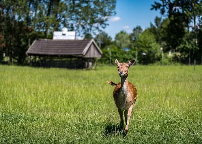 Hotel Hüerländer Munster 